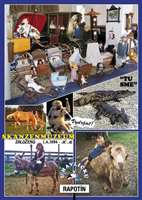 image-3210