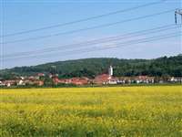 image-46