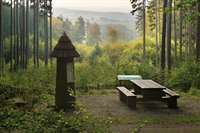 image-51