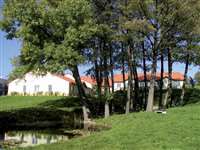 image-1033