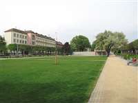 image-11737