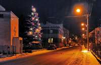 image-11766