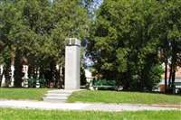 image-11779