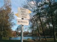 image-11808