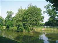 image-11842