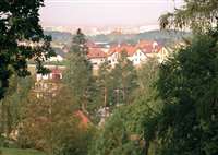 image-11845