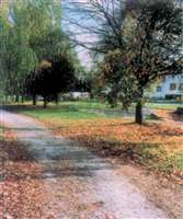 image-1184