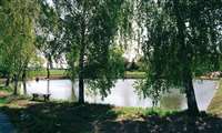 image-11864