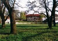 image-11876