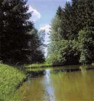 image-1378