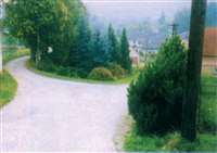 image-1594