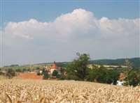 image-2187