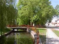 image-2270