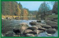 image-2384