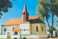 image-239