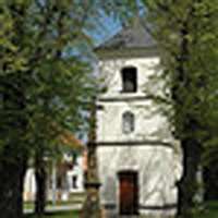 image-2428