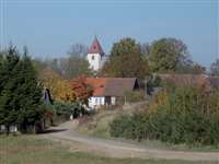 image-2507