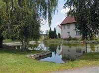image-262