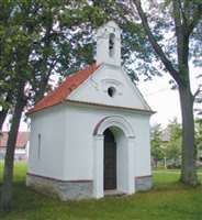 image-263