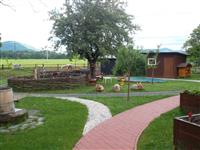 image-27782
