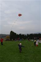 image-27802