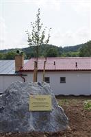 image-29214
