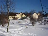 image-2969