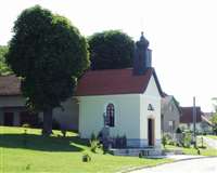 image-3300