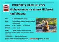 image-40248