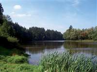 image-4772