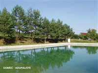 image-5369