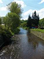 image-5961