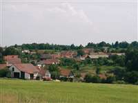 image-6035