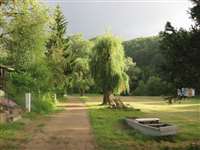 image-6385