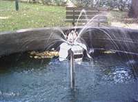 image-6400