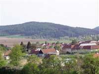 image-6402