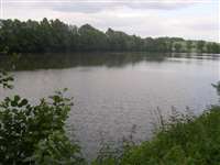 image-641