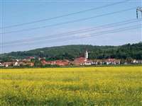 image-6424