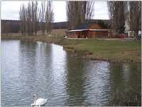 image-6485