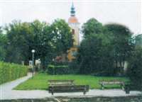 image-6487