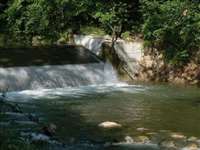 image-6488