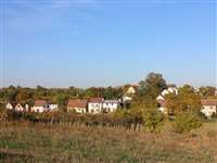 image-6583