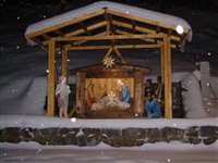 image-6629