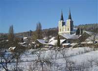 image-6696