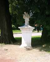 image-6745