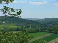 image-6747