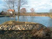 image-7050