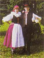 image-7075