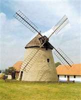 image-7080