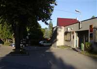 image-7241